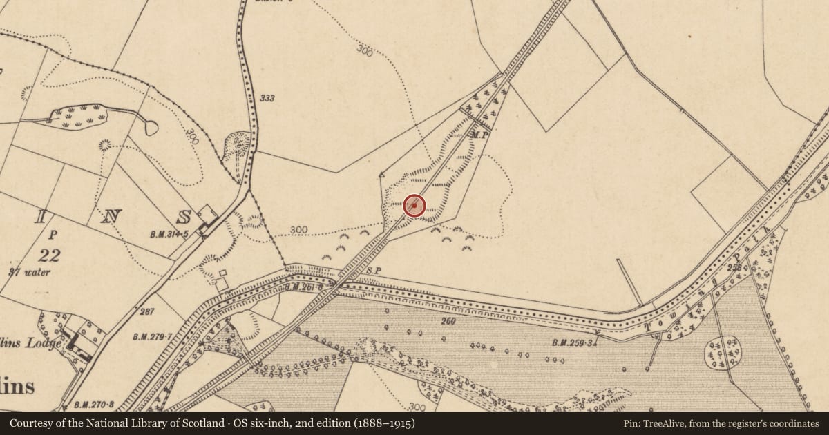 Ordnance Survey six-inch map, 2nd edition (1888–1915) covering the location of Enclosure, Sherlockstown, County Kildare, with a pin at the register's coordinates