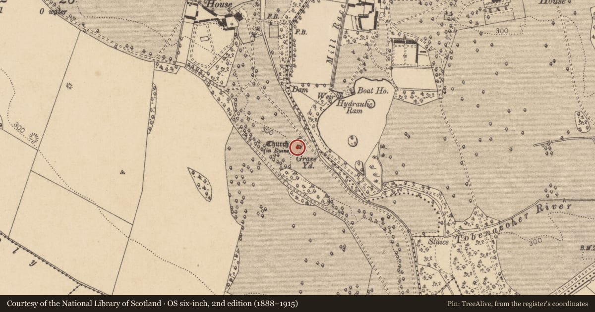 Ordnance Survey six-inch map, 2nd edition (1888–1915) covering the location of Graveyard, Kerdiffstown, County Kildare, with a pin at the register's coordinates