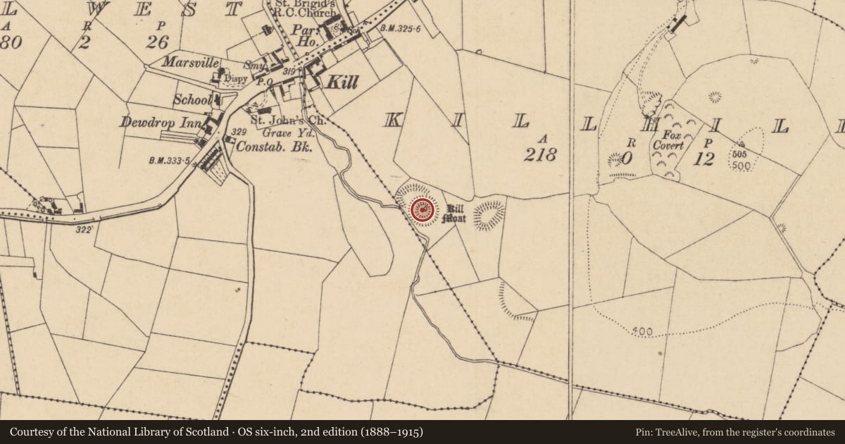 Ordnance Survey six-inch map, 2nd edition (1888–1915) covering the location of Castle - motte and bailey, Killhill, County Kildare, with a pin at the register's coordinates