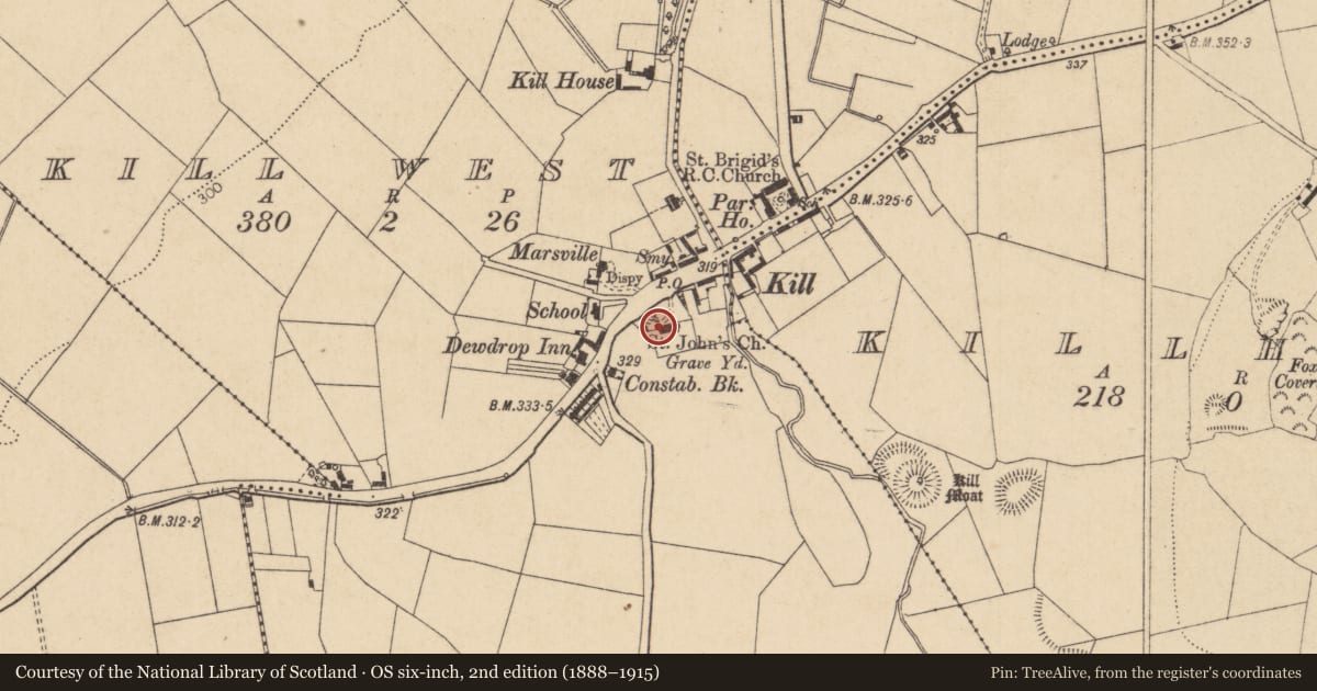Ordnance Survey six-inch map, 2nd edition (1888–1915) covering the location of Font, Kill West, County Kildare, with a pin at the register's coordinates