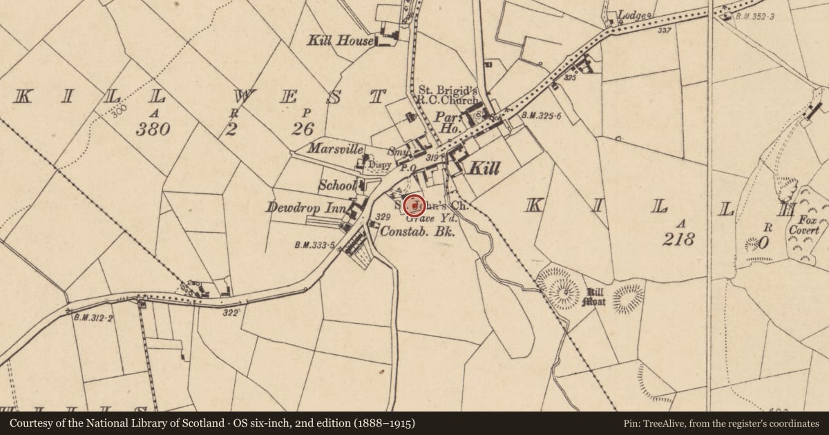 Ordnance Survey six-inch map, 2nd edition (1888–1915) covering the location of Headstone, Kill West, County Kildare, with a pin at the register's coordinates