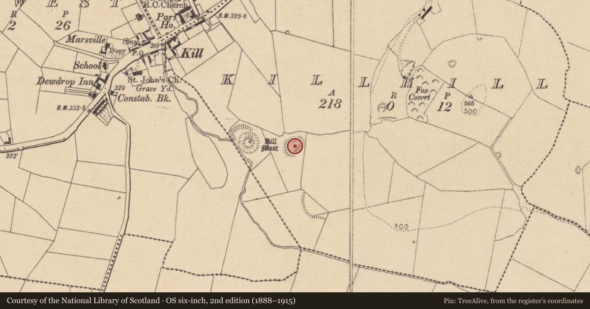 Ordnance Survey six-inch map, 2nd edition (1888–1915) covering the location of Enclosure, Killhill, County Kildare, with a pin at the register's coordinates