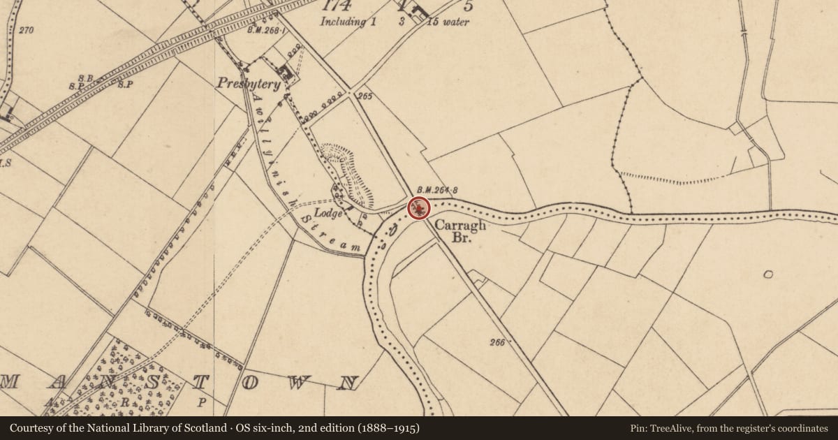 Ordnance Survey six-inch map, 2nd edition (1888–1915) covering the location of Bridge, Gingerstown, Halverstown, County Kildare, with a pin at the register's coordinates