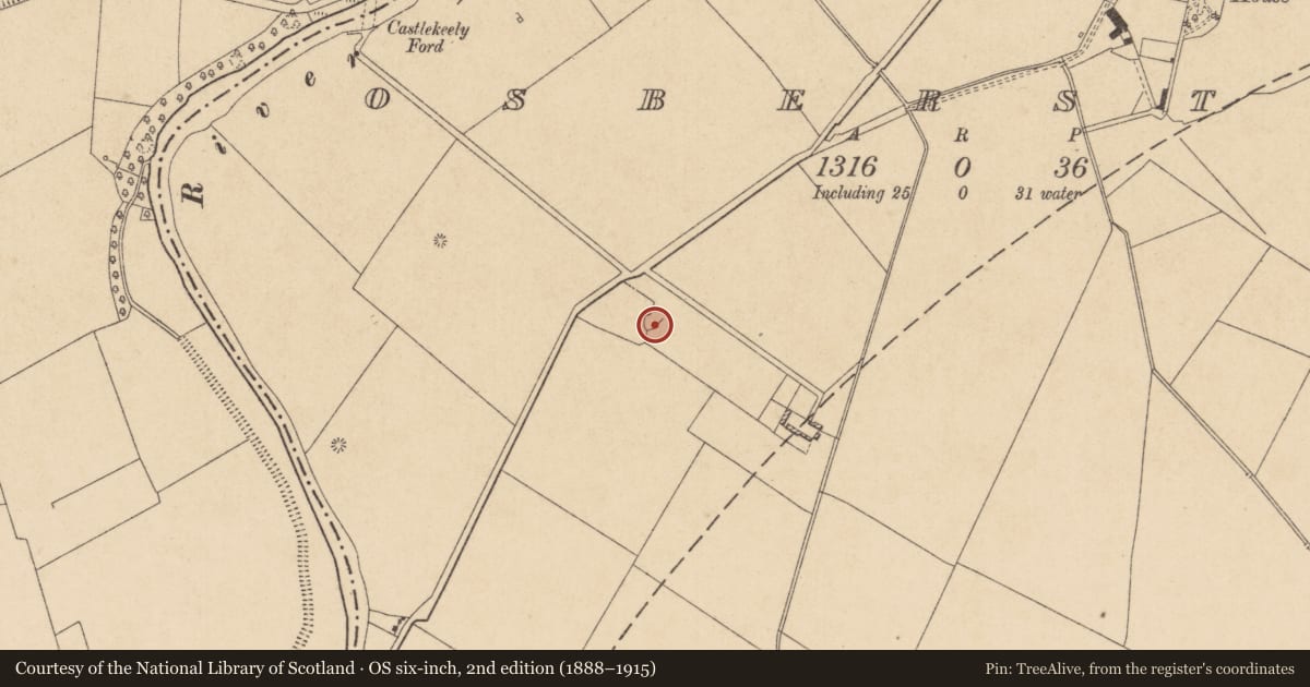 Ordnance Survey six-inch map, 2nd edition (1888–1915) covering the location of Mound, Osberstown, County Kildare, with a pin at the register's coordinates