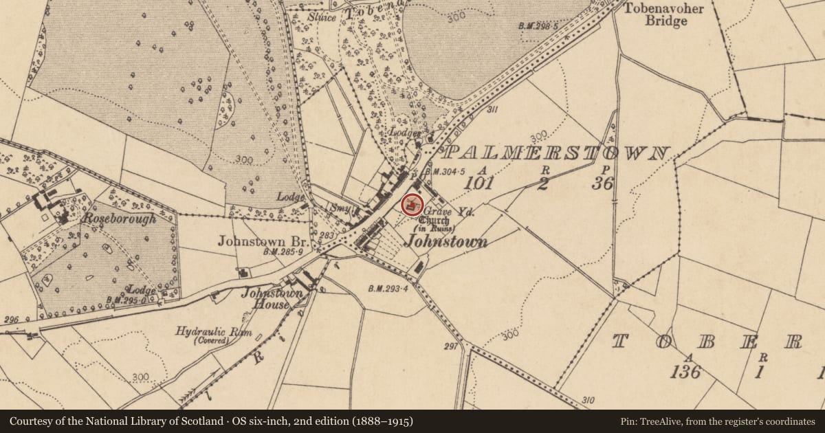 Ordnance Survey six-inch map, 2nd edition (1888–1915) covering the location of Church, Palmerstown, County Kildare, with a pin at the register's coordinates