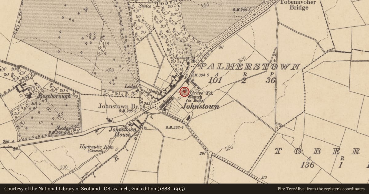 Ordnance Survey six-inch map, 2nd edition (1888–1915) covering the location of Graveyard, Palmerstown, County Kildare, with a pin at the register's coordinates