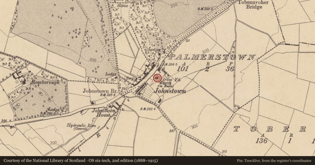 Ordnance Survey six-inch map, 2nd edition (1888–1915) covering the location of Font, Palmerstown, County Kildare, with a pin at the register's coordinates