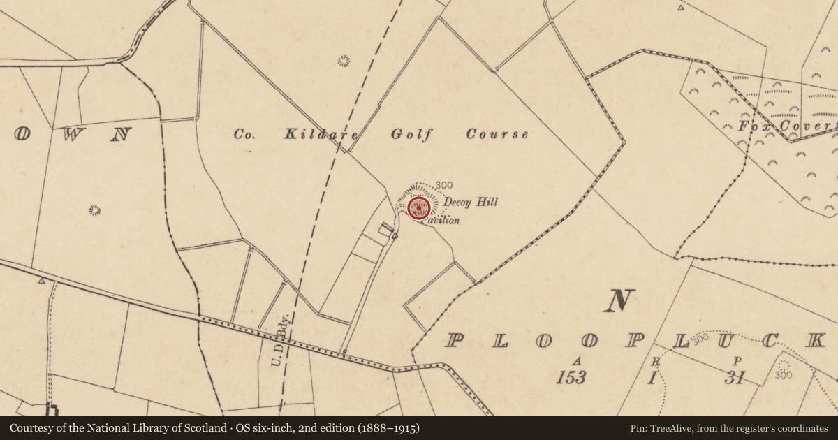 Ordnance Survey six-inch map, 2nd edition (1888–1915) covering the location of Mound, Osberstown, County Kildare, with a pin at the register's coordinates