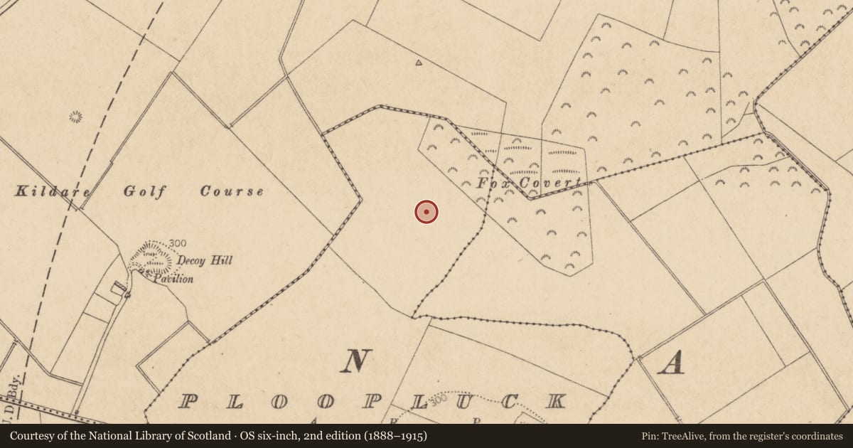 Ordnance Survey six-inch map, 2nd edition (1888–1915) covering the location of Burial, Ploopluck, County Kildare, with a pin at the register's coordinates