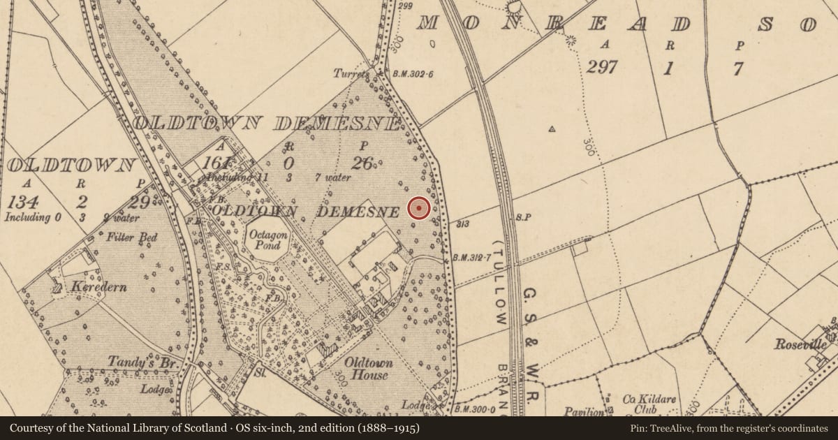 Ordnance Survey six-inch map, 2nd edition (1888–1915) covering the location of Enclosure, Oldtown Demesne, County Kildare, with a pin at the register's coordinates