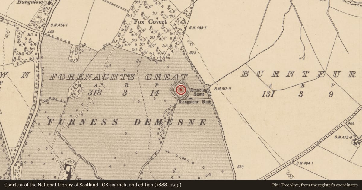 Ordnance Survey six-inch map, 2nd edition (1888–1915) covering the location of Standing stone, Forenaghts Great, County Kildare, with a pin at the register's coordinates
