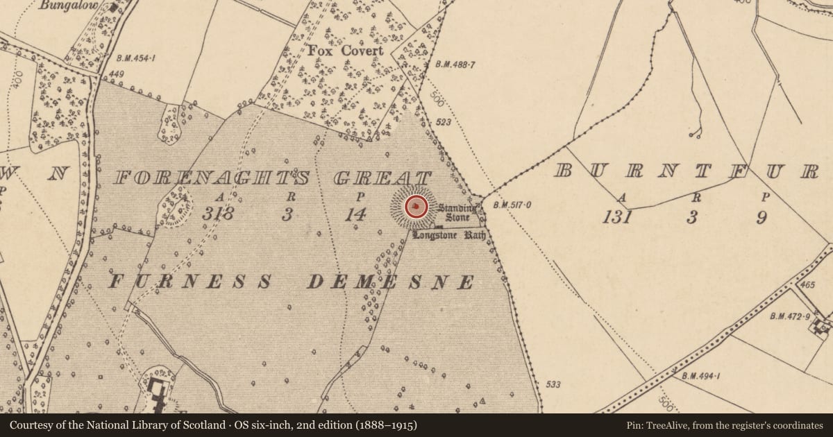 Ordnance Survey six-inch map, 2nd edition (1888–1915) covering the location of Cist, Forenaghts Great, County Kildare, with a pin at the register's coordinates