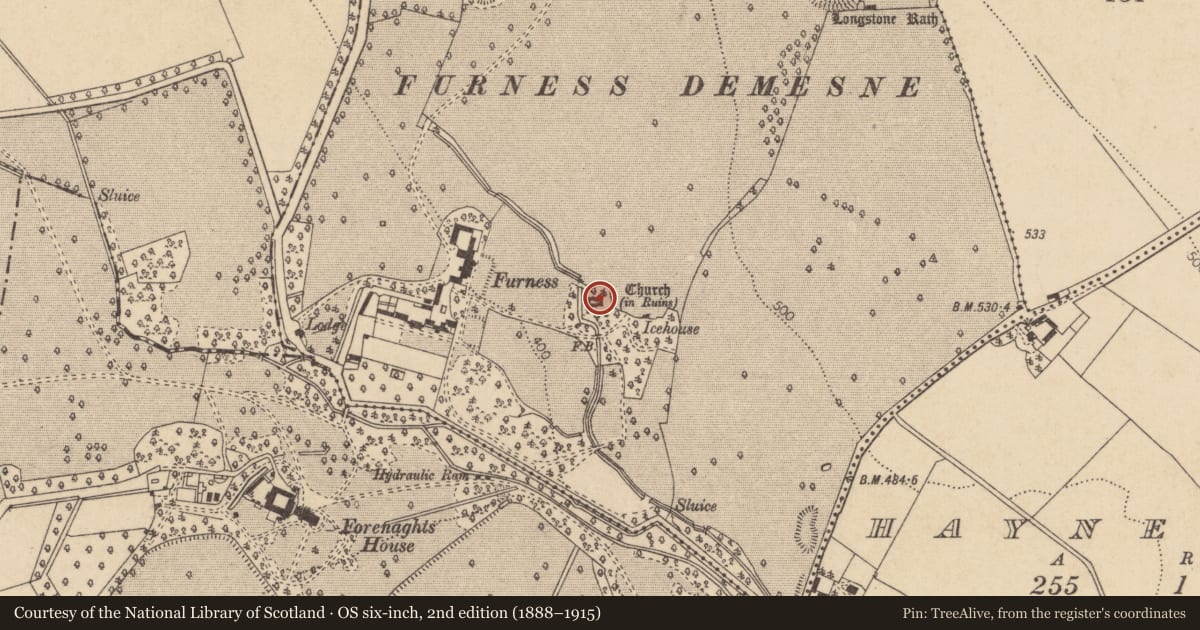 Ordnance Survey six-inch map, 2nd edition (1888–1915) covering the location of Graveyard, Forenaghts Great, County Kildare, with a pin at the register's coordinates