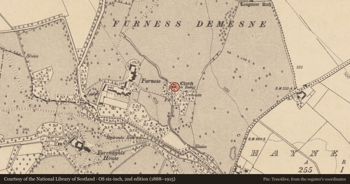 Ordnance Survey six-inch map, 2nd edition (1888–1915) covering the location of Rock art (present location), Forenaghts Great, County Kildare, with a pin at the register's coordinates