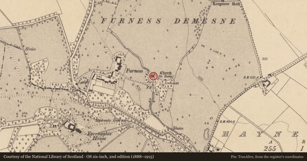 Ordnance Survey six-inch map, 2nd edition (1888–1915) covering the location of Cross-slab, Forenaghts Great, County Kildare, with a pin at the register's coordinates