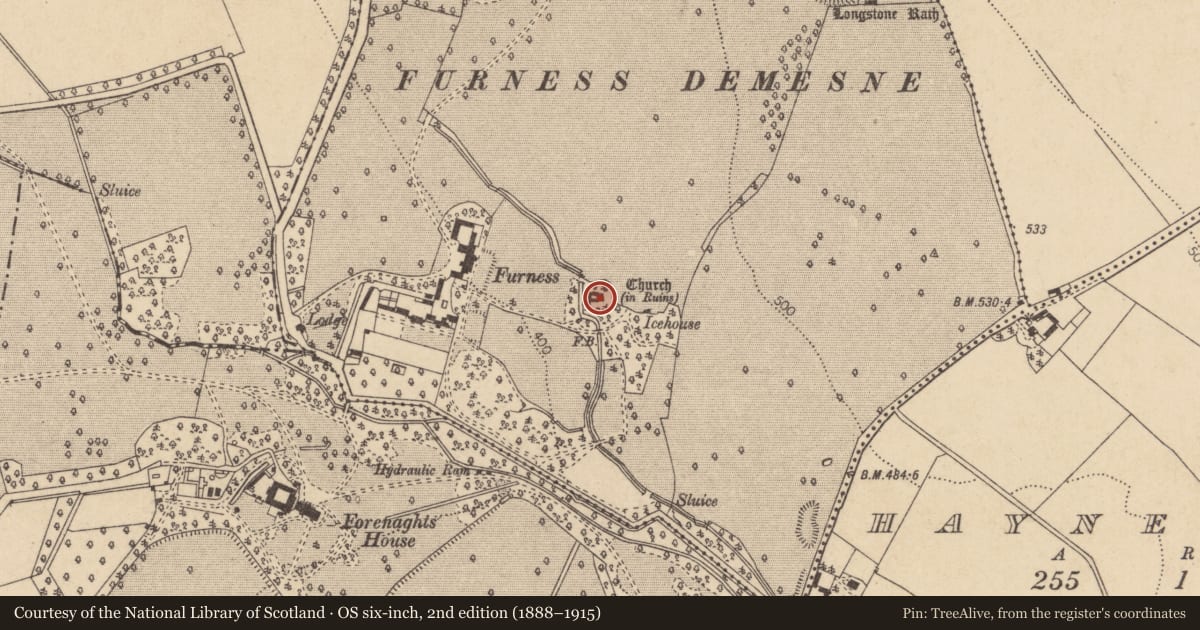 Ordnance Survey six-inch map, 2nd edition (1888–1915) covering the location of Font, Forenaghts Great, County Kildare, with a pin at the register's coordinates