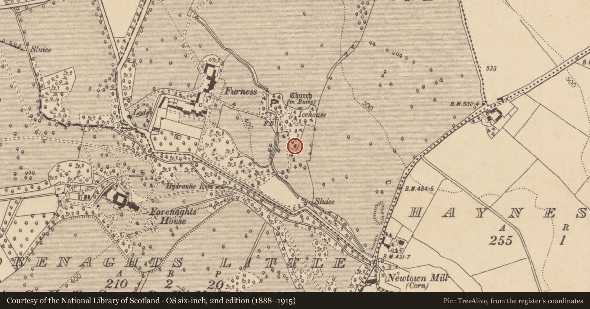 Ordnance Survey six-inch map, 2nd edition (1888–1915) covering the location of Rock art, Forenaghts Great, County Kildare, with a pin at the register's coordinates