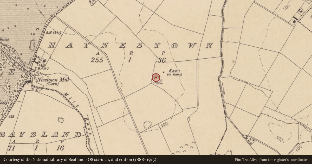 Ordnance Survey six-inch map, 2nd edition (1888–1915) covering the location of Church, Haynestown, County Kildare, with a pin at the register's coordinates