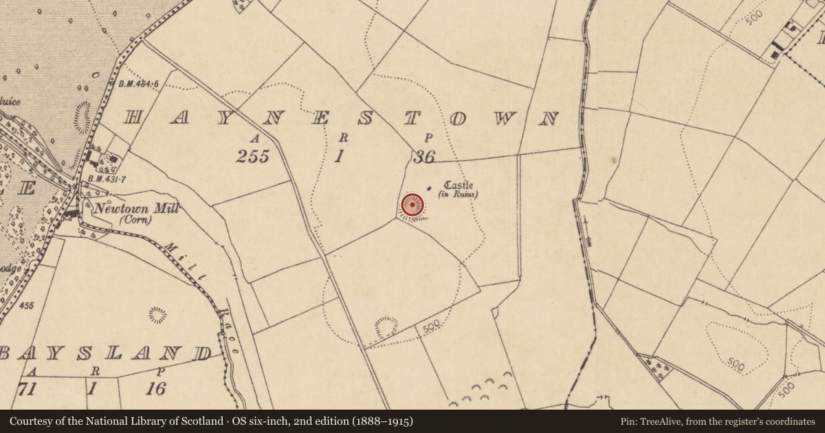 Ordnance Survey six-inch map, 2nd edition (1888–1915) covering the location of Graveyard, Haynestown, County Kildare, with a pin at the register's coordinates