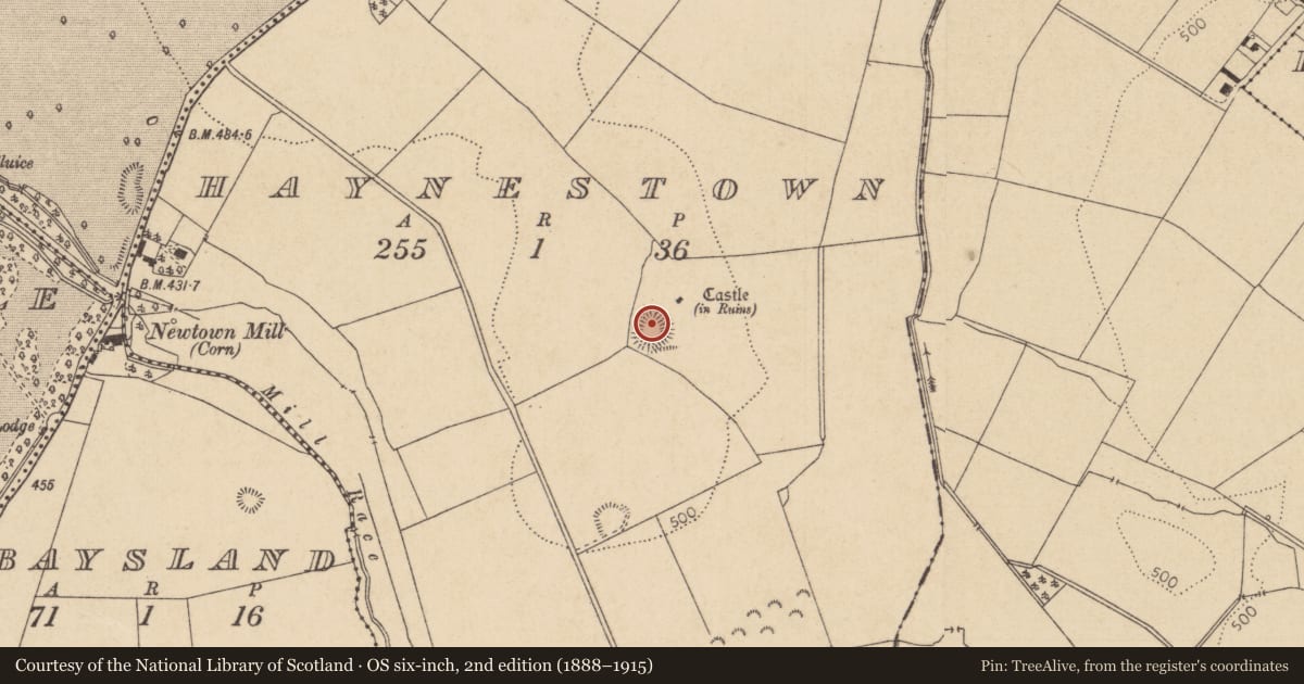 Ordnance Survey six-inch map, 2nd edition (1888–1915) covering the location of Ecclesiastical enclosure, Haynestown, County Kildare, with a pin at the register's coordinates