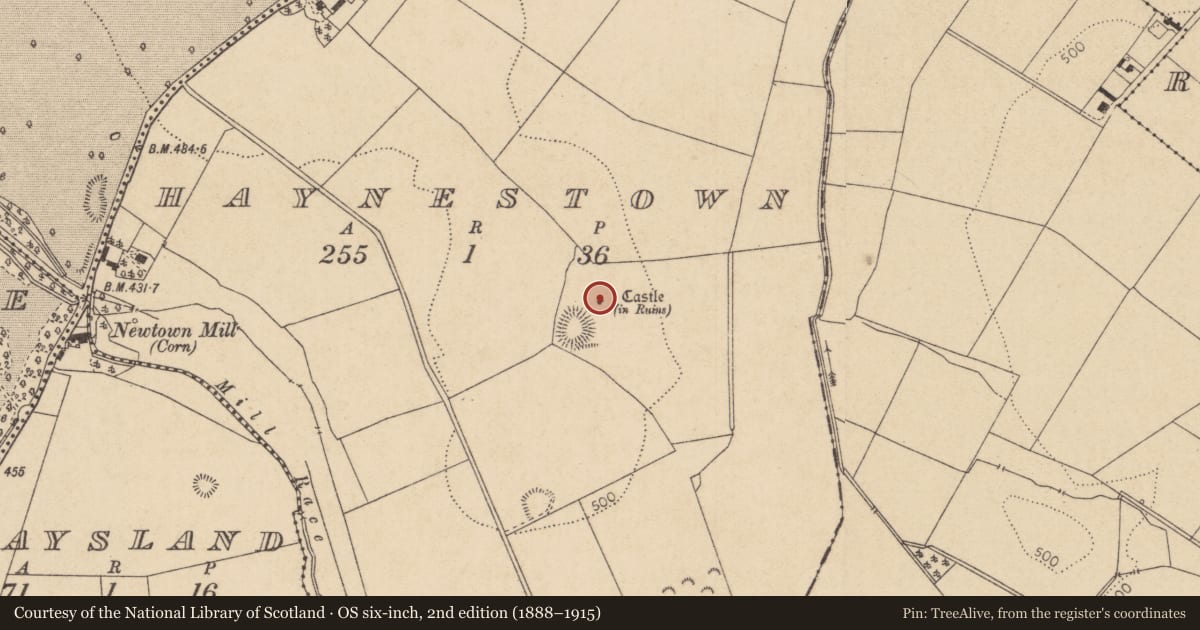 Ordnance Survey six-inch map, 2nd edition (1888–1915) covering the location of Bawn, Haynestown, County Kildare, with a pin at the register's coordinates