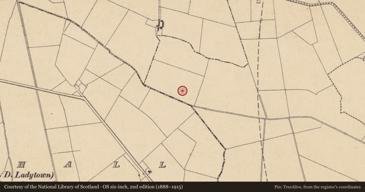 Ordnance Survey six-inch map, 2nd edition (1888–1915) covering the location of Fulacht fia, Jigginstown, County Kildare, with a pin at the register's coordinates