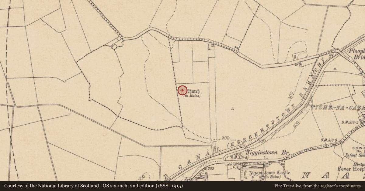 Ordnance Survey six-inch map, 2nd edition (1888–1915) covering the location of Church, Jigginstown, County Kildare, with a pin at the register's coordinates