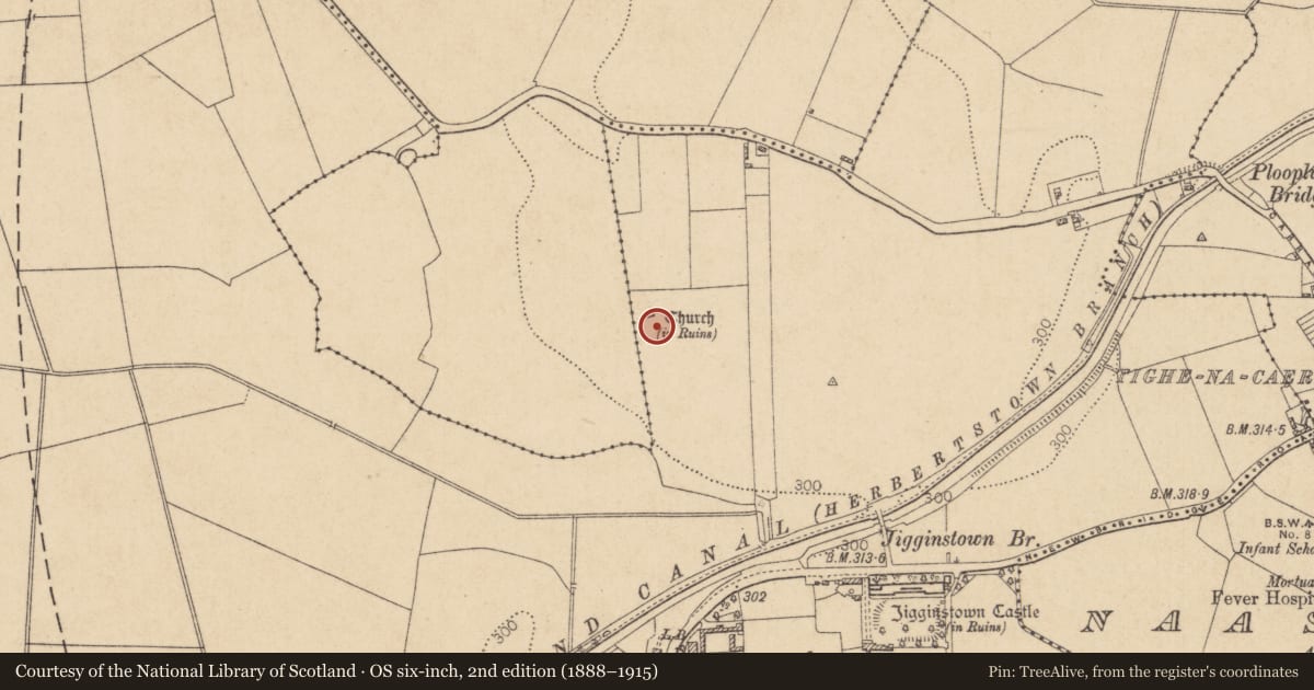 Ordnance Survey six-inch map, 2nd edition (1888–1915) covering the location of Graveyard, Jigginstown, County Kildare, with a pin at the register's coordinates
