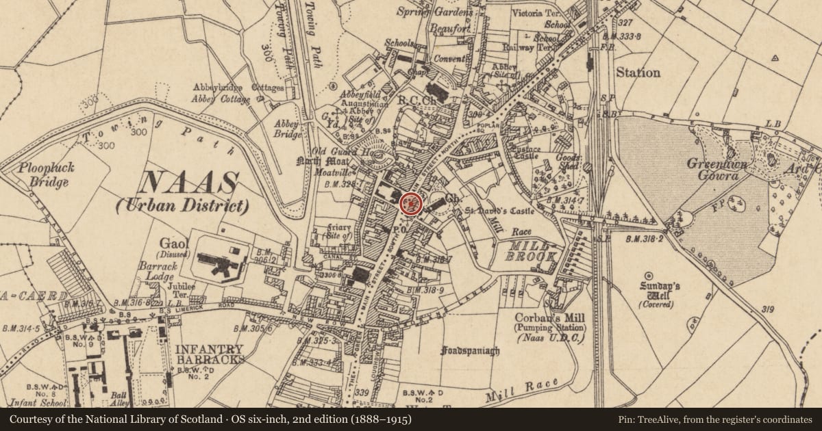 Ordnance Survey six-inch map, 2nd edition (1888–1915) covering the location of Town defences, Naas East, Naas West, County Kildare, with a pin at the register's coordinates