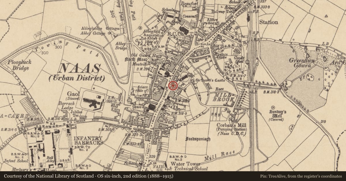 Ordnance Survey six-inch map, 2nd edition (1888–1915) covering the location of Town hall, Naas East, Naas West, County Kildare, with a pin at the register's coordinates