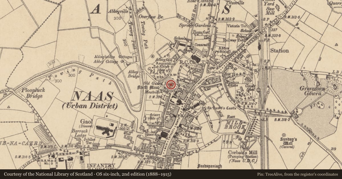 Ordnance Survey six-inch map, 2nd edition (1888–1915) covering the location of Castle - motte, Naas West, County Kildare, with a pin at the register's coordinates