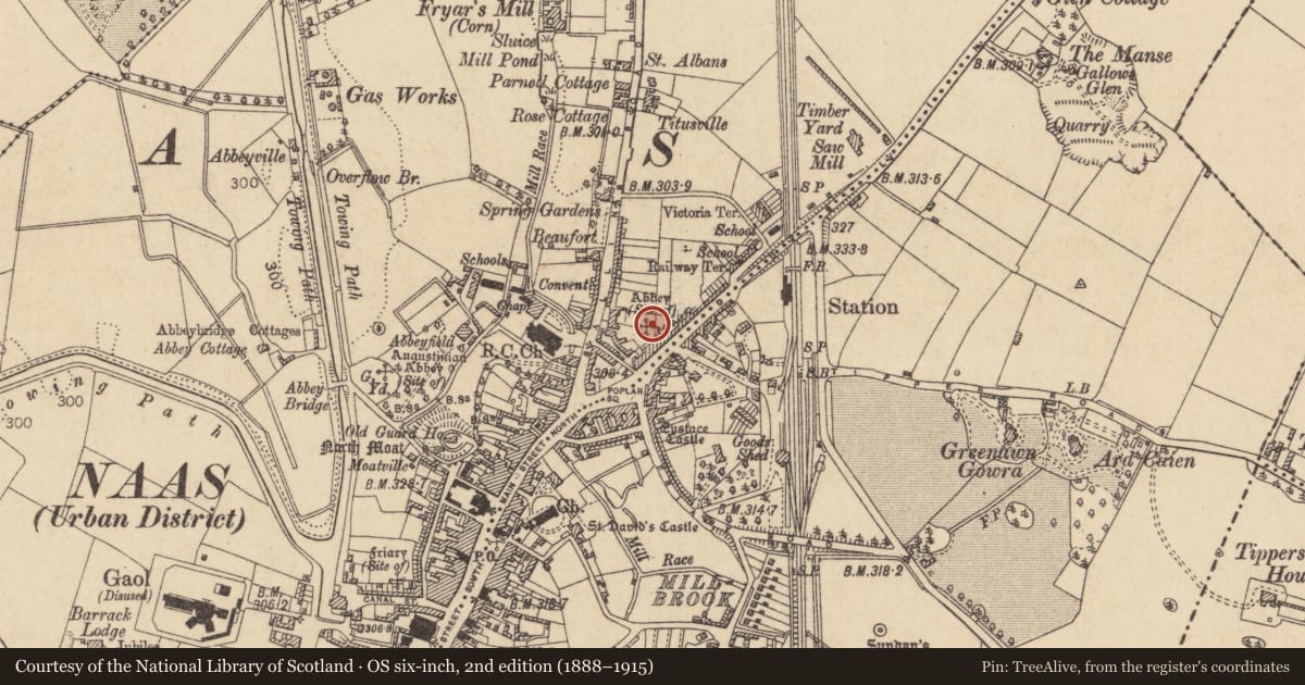 Ordnance Survey six-inch map, 2nd edition (1888–1915) covering the location of Religious house - Augustinian canons, Naas West, County Kildare, with a pin at the register's coordinates