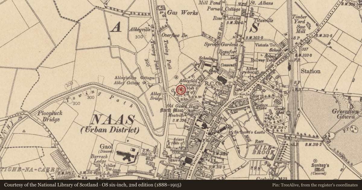 Ordnance Survey six-inch map, 2nd edition (1888–1915) covering the location of Religious house - Dominican friars, Naas West, County Kildare, with a pin at the register's coordinates