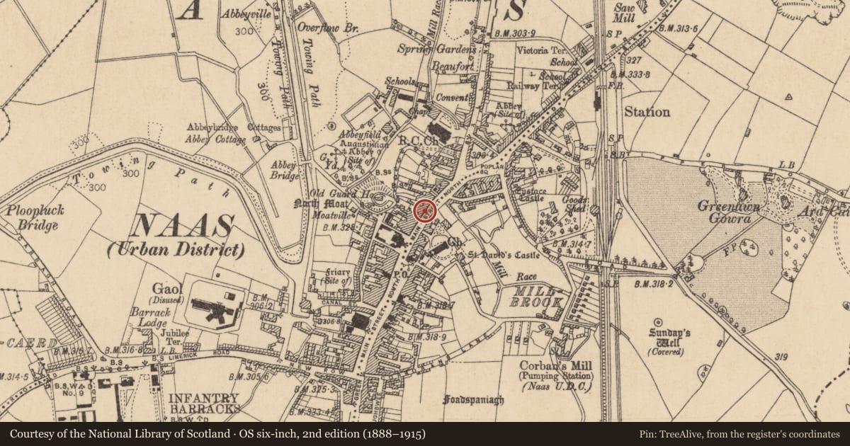 Ordnance Survey six-inch map, 2nd edition (1888–1915) covering the location of Castle - unclassified, Naas West, County Kildare, with a pin at the register's coordinates