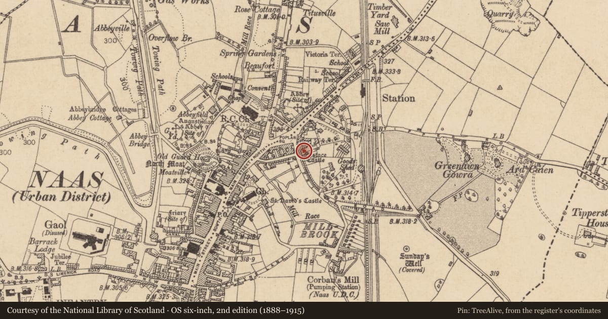 Ordnance Survey six-inch map, 2nd edition (1888–1915) covering the location of Castle - tower house, Naas East, County Kildare, with a pin at the register's coordinates