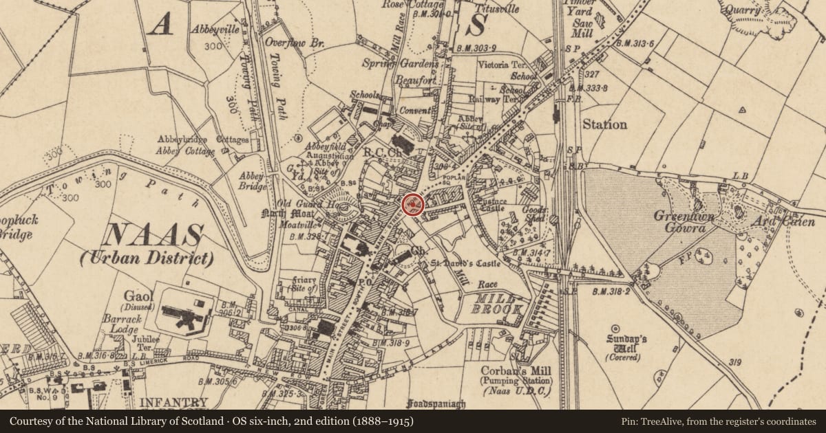 Ordnance Survey six-inch map, 2nd edition (1888–1915) covering the location of Castle - unclassified, Naas West, County Kildare, with a pin at the register's coordinates