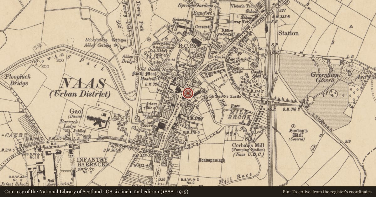 Ordnance Survey six-inch map, 2nd edition (1888–1915) covering the location of House - 16th/17th century, Naas West, County Kildare, with a pin at the register's coordinates