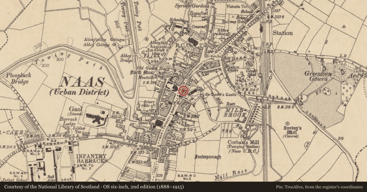 Ordnance Survey six-inch map, 2nd edition (1888–1915) covering the location of Castle - tower house, Naas East, County Kildare, with a pin at the register's coordinates