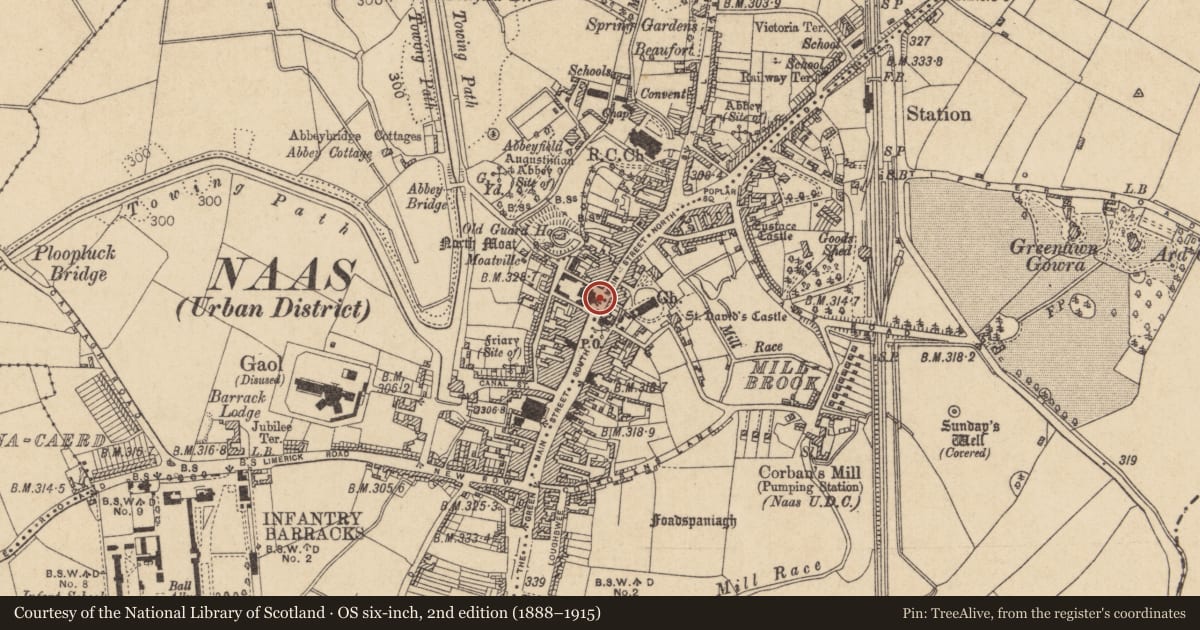 Ordnance Survey six-inch map, 2nd edition (1888–1915) covering the location of Castle - unclassified, Naas West, County Kildare, with a pin at the register's coordinates