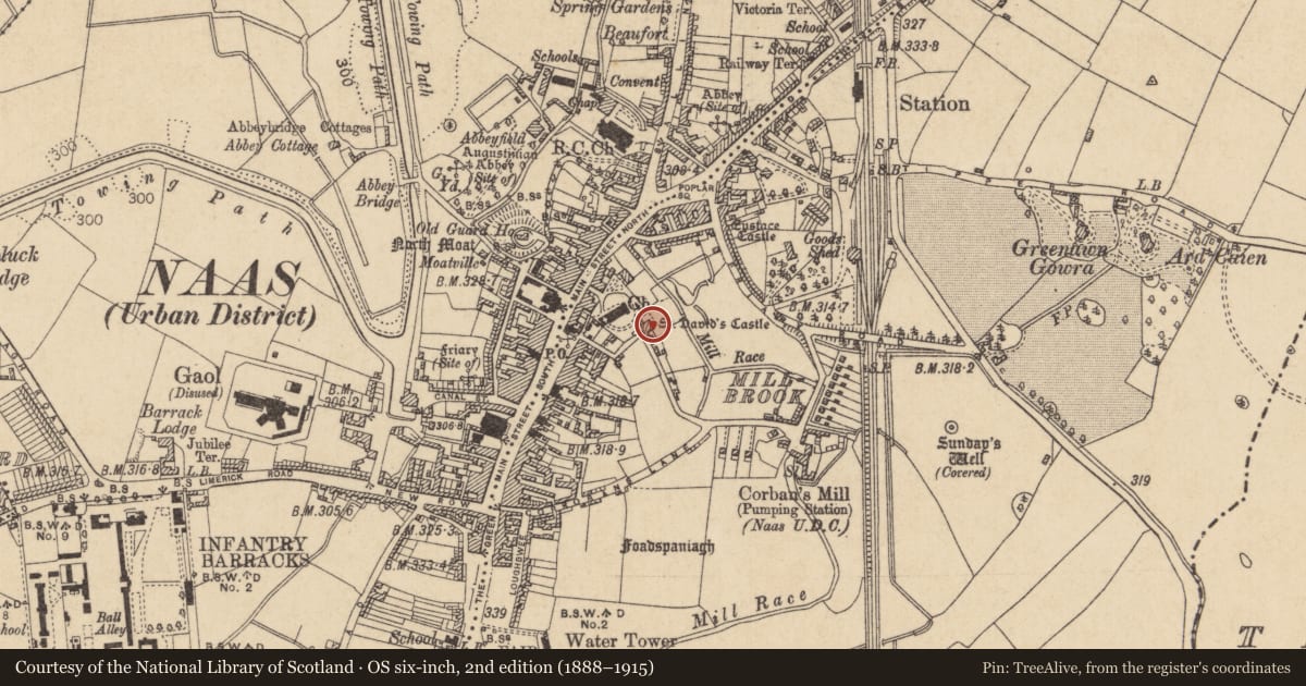 Ordnance Survey six-inch map, 2nd edition (1888–1915) covering the location of Castle - tower house, Naas East, County Kildare, with a pin at the register's coordinates