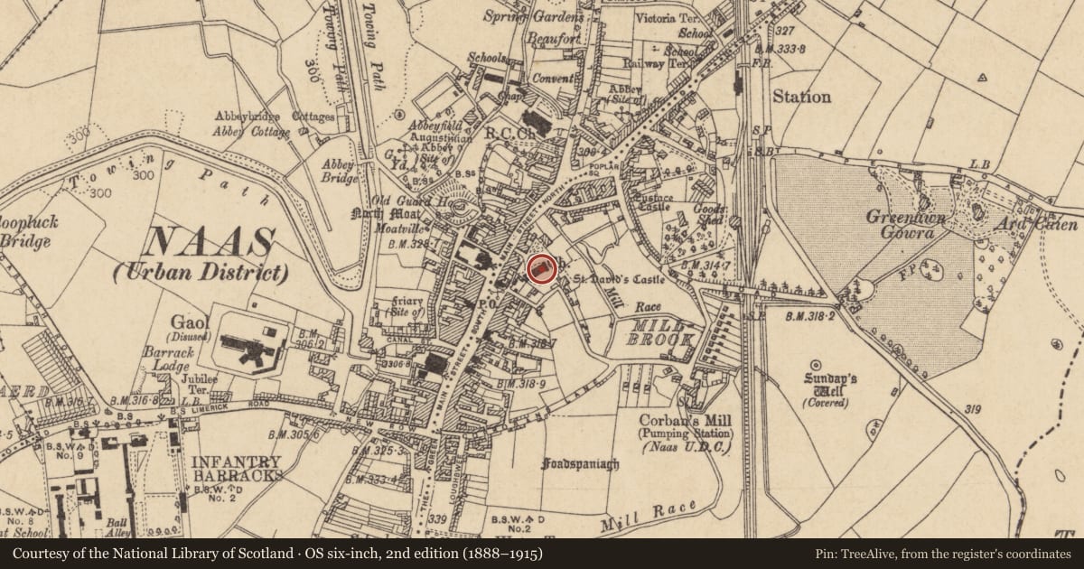 Ordnance Survey six-inch map, 2nd edition (1888–1915) covering the location of Church, Naas East, County Kildare, with a pin at the register's coordinates