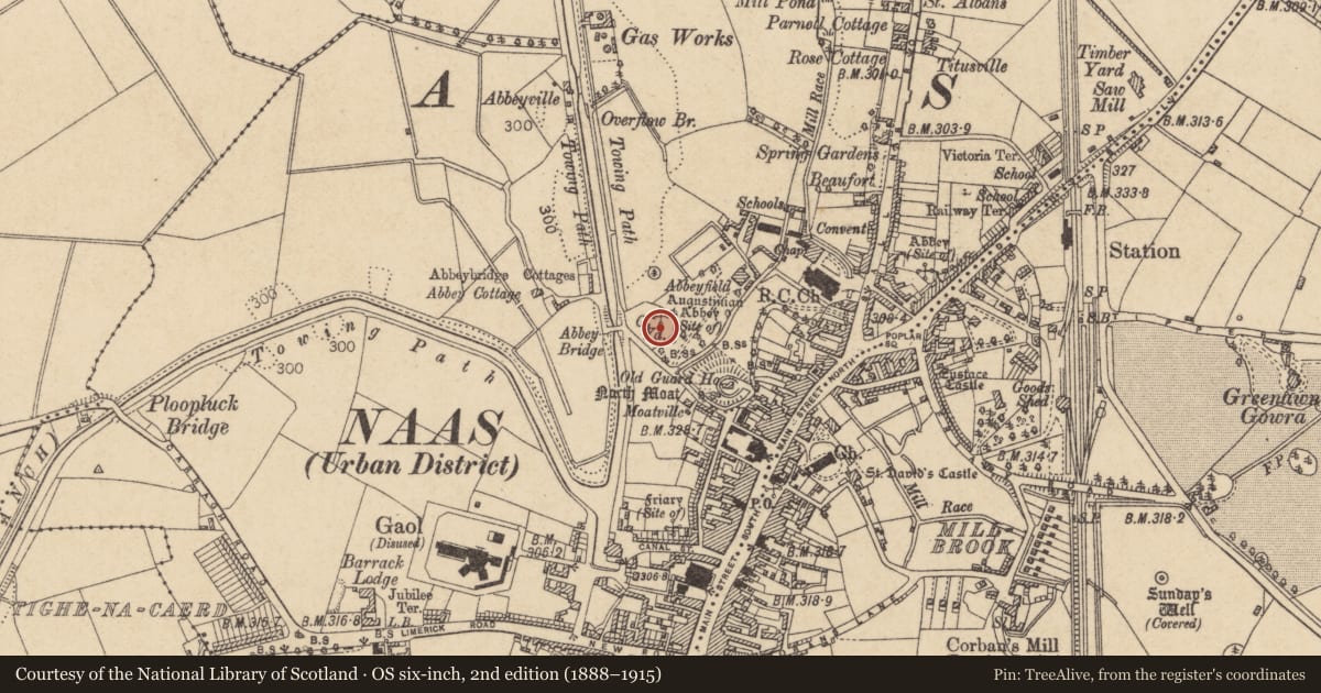 Ordnance Survey six-inch map, 2nd edition (1888–1915) covering the location of Graveyard, Naas West, County Kildare, with a pin at the register's coordinates