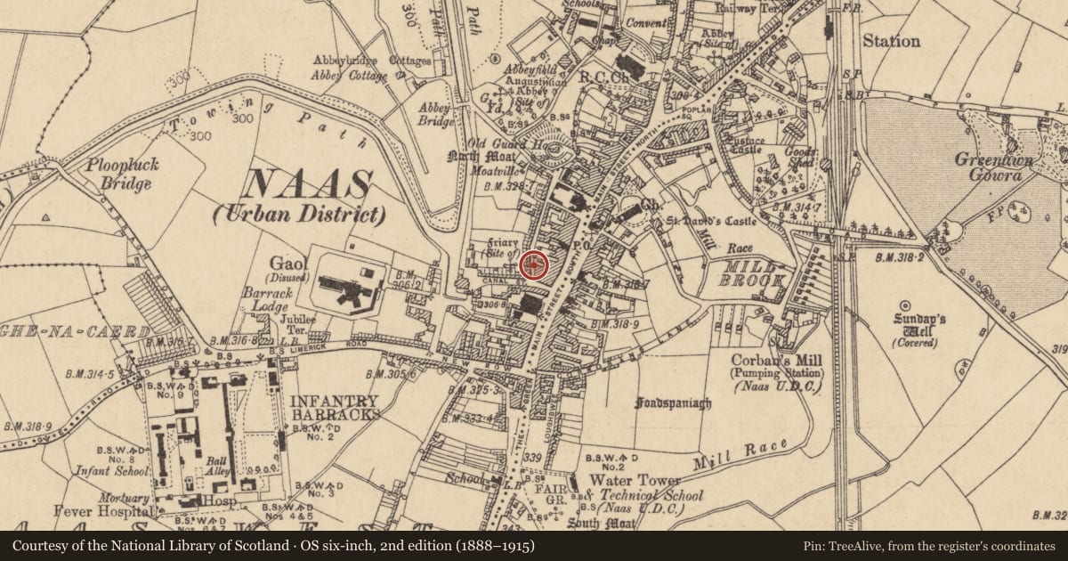 Ordnance Survey six-inch map, 2nd edition (1888–1915) covering the location of Graveyard, Naas West, County Kildare, with a pin at the register's coordinates