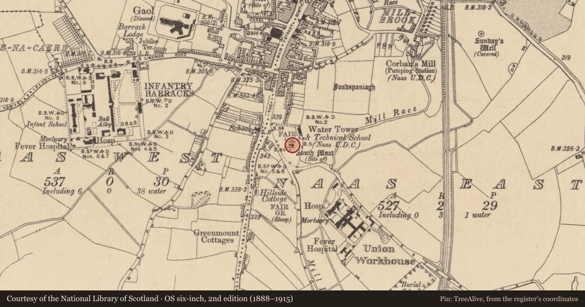 Ordnance Survey six-inch map, 2nd edition (1888–1915) covering the location of Castle - motte, Naas East, County Kildare, with a pin at the register's coordinates