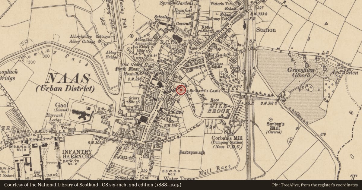 Ordnance Survey six-inch map, 2nd edition (1888–1915) covering the location of Architectural fragment, Naas East, County Kildare, with a pin at the register's coordinates