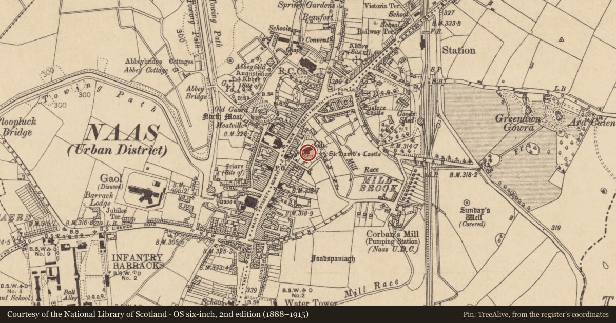 Ordnance Survey six-inch map, 2nd edition (1888–1915) covering the location of Font, Naas East, County Kildare, with a pin at the register's coordinates