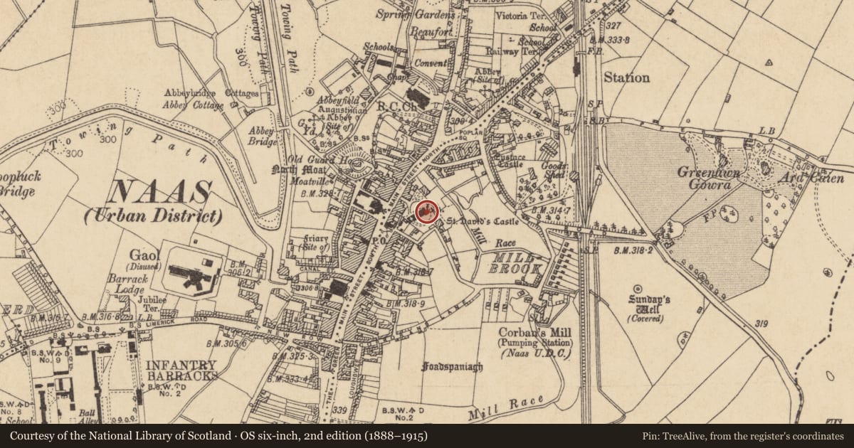 Ordnance Survey six-inch map, 2nd edition (1888–1915) covering the location of Font, Naas East, County Kildare, with a pin at the register's coordinates