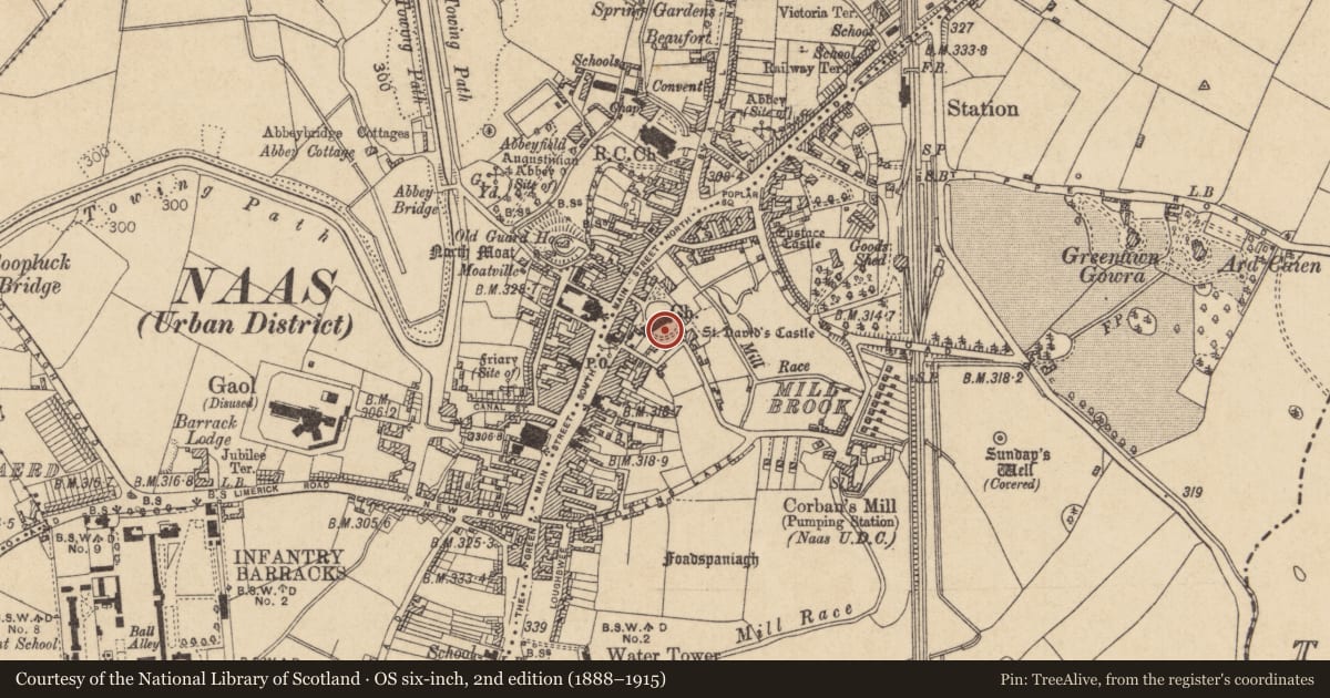 Ordnance Survey six-inch map, 2nd edition (1888–1915) covering the location of Tomb - table tomb, Naas East, County Kildare, with a pin at the register's coordinates