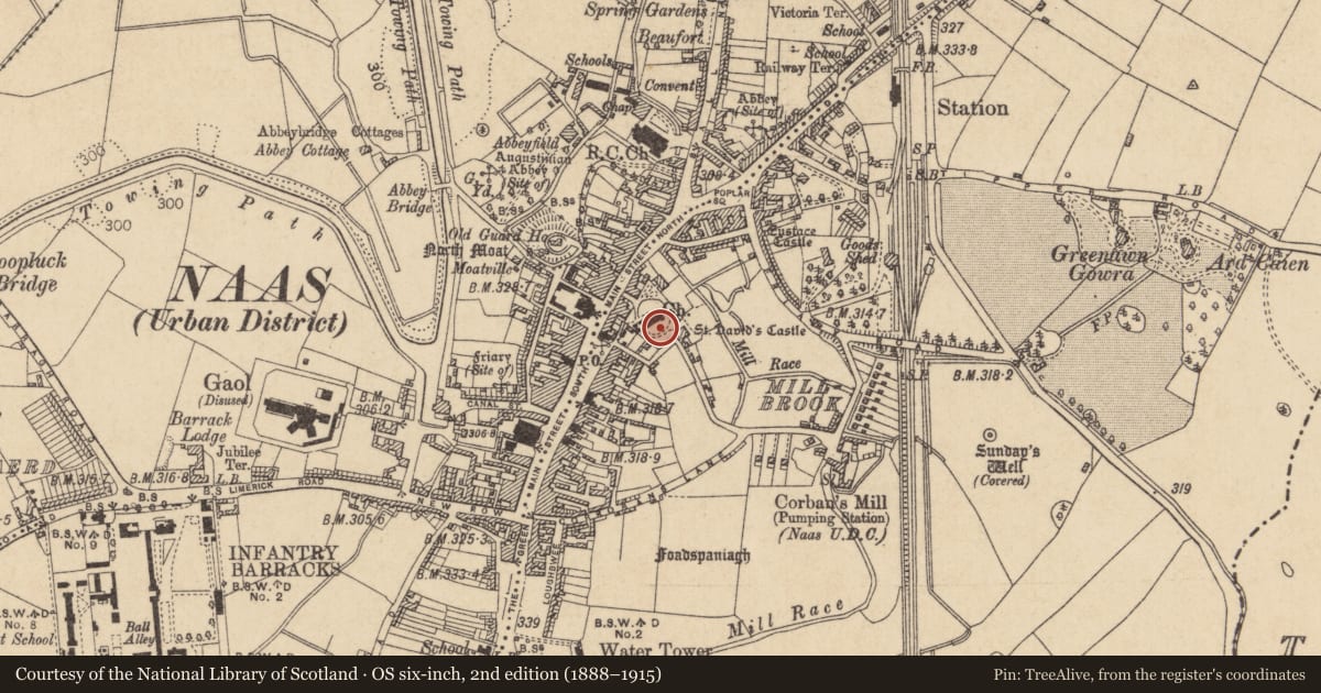 Ordnance Survey six-inch map, 2nd edition (1888–1915) covering the location of Wall monument, Naas East, County Kildare, with a pin at the register's coordinates