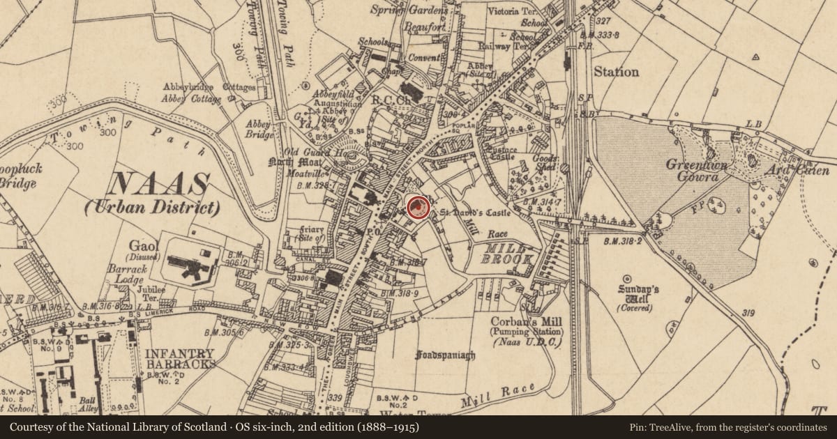 Ordnance Survey six-inch map, 2nd edition (1888–1915) covering the location of Graveslab, Naas East, County Kildare, with a pin at the register's coordinates
